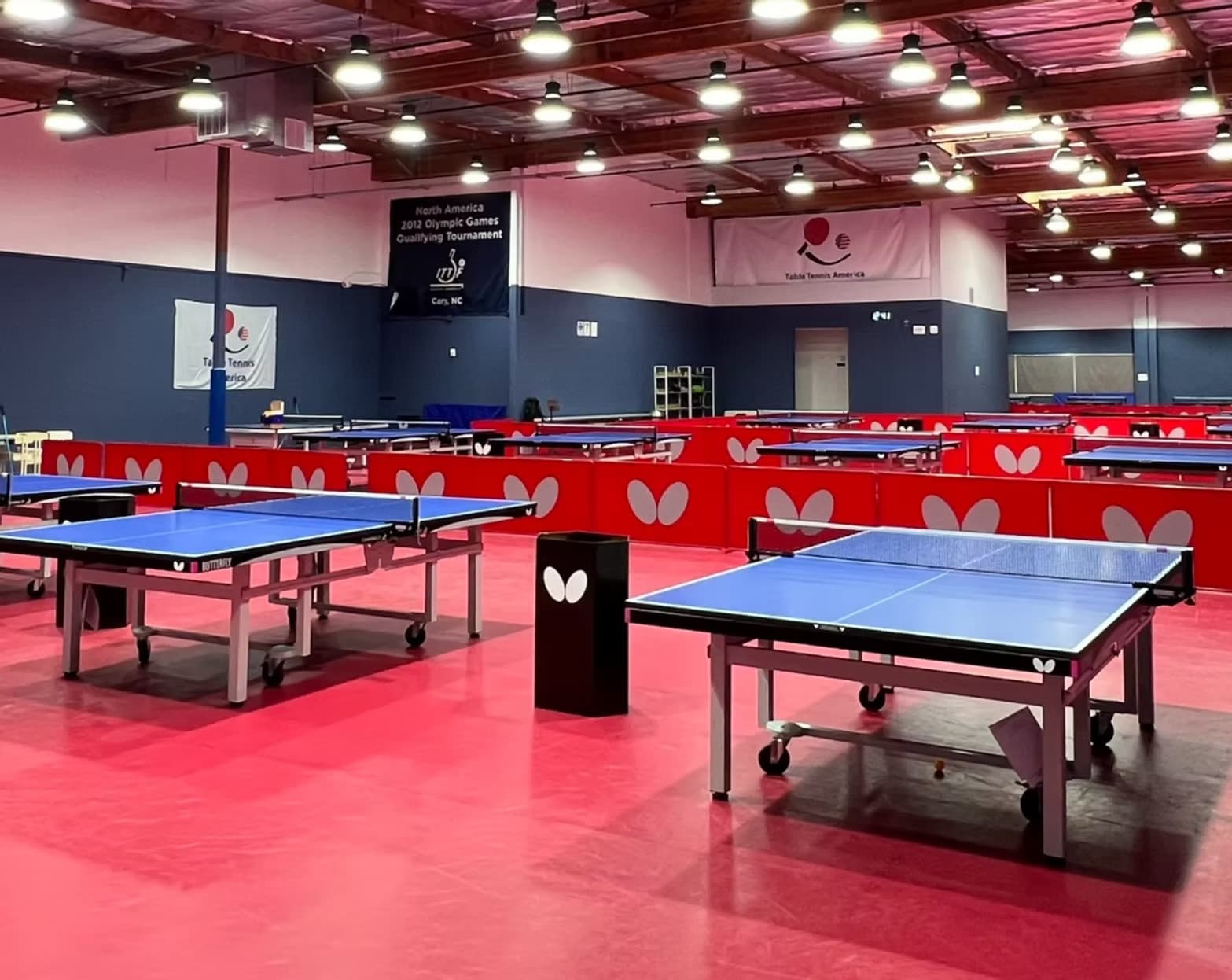 Table Tennis America